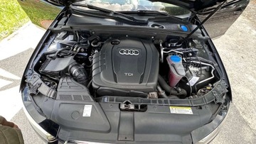 Audi A4 B8 Avant Facelifting 2.0 TDI 150KM 2014 Audi a4 Raty 2.0 tdi Serwisowany Automat Navigacja Nowy rozrzad Gwarancja, zdjęcie 38