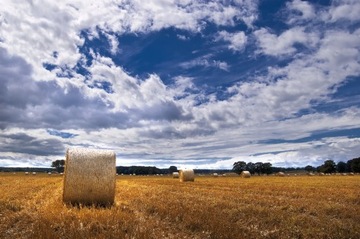 Сельскохозяйственная сетка РУБАНЕТ 1,25 Х 2000 г.