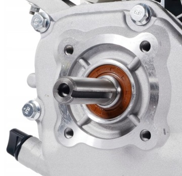 СОСТАВ ДВИГАТЕЛЯ 6,5 Л.С. ВЕРХН.ВАЛ 19 ММ ЗАМЕНА HONDA GX160