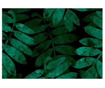 Fototapeta 416x254cm Liście jarzębiny na ciemnym t