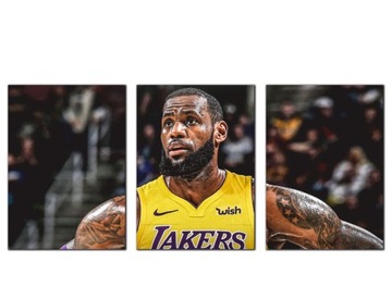 3x OBRAZ NA ŚCIANĘ LEBRON JAMES NBA 20x30