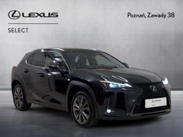 Lexus UX Crossover Facelifting 2.0 250h 184KM 2023 Lexus UX 250h GPF F Sport Design 2WD Lexus UX 250h, zdjęcie 6