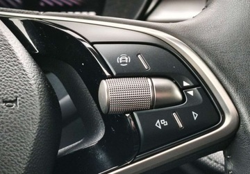 Skoda Fabia IV 2024 Skoda Fabia Edition 130 Pakiety, Gwarancja, Podgrzewane fotele i kierowni, zdjęcie 22