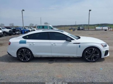 Audi A5 B10 2024 Audi S5 Coupe Sportback Premium Plus, 2024r., 4x4, 3.0L 3.0 Benzyna 349KM, zdjęcie 4
