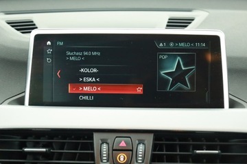 BMW X1 F48 Crossover sDrive20i 192KM 2018 BMW X1 sDrive20i, Serwis ASO, Automat, Navi, zdjęcie 8