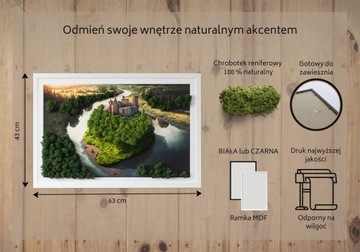 Картина мхом Замок на холме 60х40