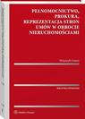 PEŁNOMOCNICTWO, PROKURA, REPREZENTACJA ST.. EBOOK