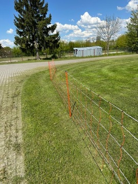 Siatka elektry dla owiec, 50m, 90 cm, poj. szpic