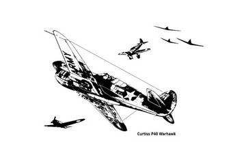 Naklejka samolot P40 WARHAWK 100x50cm na ścianę 2