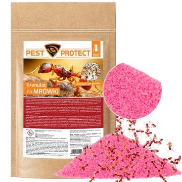 ФАРАОНОВЫЕ МУРАВЬИ-ВРЕДИТЕЛИ ЗАЩИТА ПОРОШКОМ БОРЬБА СО ВСЕМИ ГНЕЗДАМИ