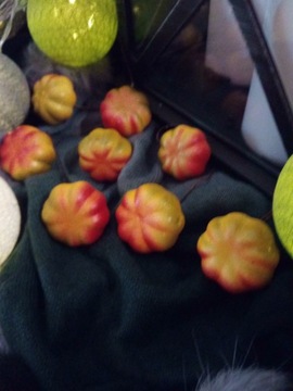 DYNIE OZDOBNE DEKORACJA STOŁU JESIEŃ 10 SZTUK 145