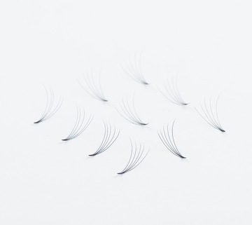 Wonder Lashes rzęsy wachlarzyki kępki 5D C 12mm