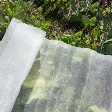 Сетка для защиты от насекомых из фруктов и овощей.