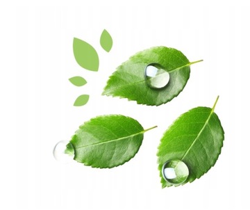 Chusteczki Nawilżane Kinder By Nature Naturalne Biodegradowalne 12x56 szt.