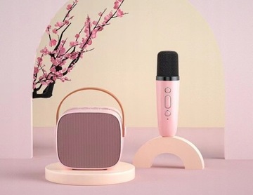 Уличная портативная аудиосистема Bluetooth