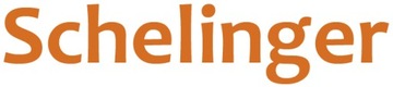 Счетчик Шелингера 230 В IP20 100 А