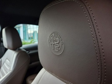 Alfa Romeo Stelvio SUV 2.0 Turbo 280KM 2018 Alfa Romeo Stelvio Q4 2.0 280 KM, zdjęcie 30