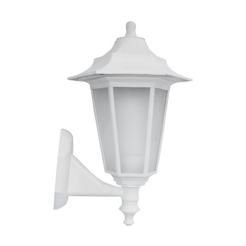BEGONYA2 WHITE 03080