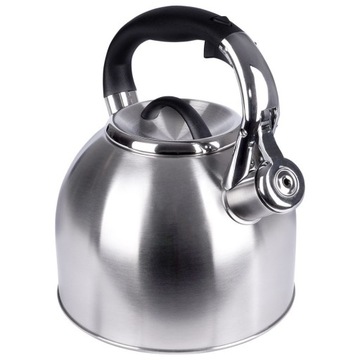 СТАЛЬНОЙ чайник с традиционным свистком для кипячения воды.