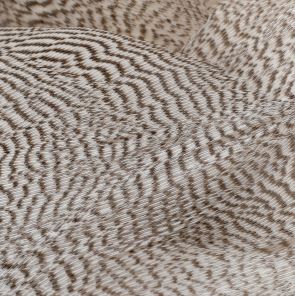 Mallard Flank Natural Grey