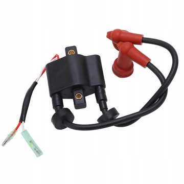 ВНЕШНЯЯ КАТУШКА ЗАЖИГАНИЯ В СБОРЕ