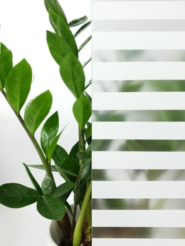 Фольга молочные полосы без клеевого шпона украшения окна для стекла дисплея