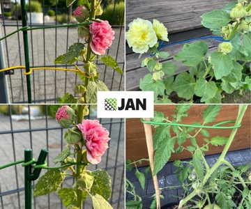 ПРОВОЛОКА САДОВЫЙ САД, с ПВХ покрытием 3.0, для СЕТОЧНОГО ЗАБОРА, зеленая, 50м