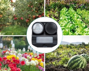 Птичья репеллер животного голубя.