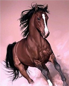 MALOWANIE PO NUMERACH 50x40 CM KREATYWNE KOŃ W GALOPIE MUSTANG