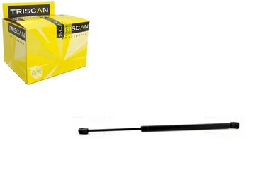 SIŁOWNIK TELESKOP KLAPY HYUNDAI IX20 06.10- TRISCAN