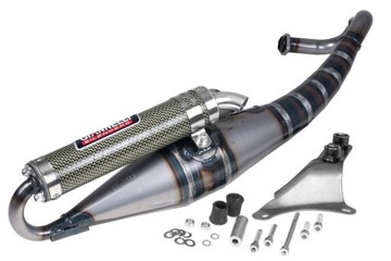 Выхлоп Giannelli Reverse Kev, SR 50 R Factory 05-