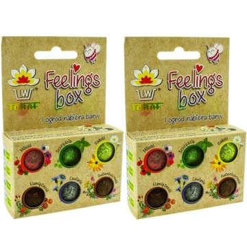 FEELINGS BOX BOMBY NASIENNE KWIATOWE 12 KUL KWIATY ZIOŁA ROŚLINY MIODODAJNE