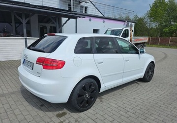 Audi A3 8P Hatchback 3d 1.6 TDI 90KM 2010 Audi A3 5 Drzwi KLIMA 1.6 Diesel 105KM, zdjęcie 15