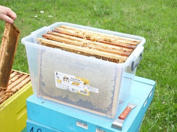 КОНТЕЙНЕР 30 Л ДЛЯ СОТОВЫХ РАМОК ВЕЛИКОЙ ПОЛЬШИ