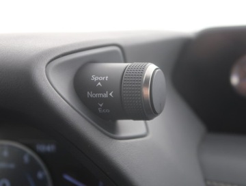 Lexus UX Crossover 200 171KM 2019 Lexus UX 200, Salon Polska, Serwis ASO, Automat, zdjęcie 17