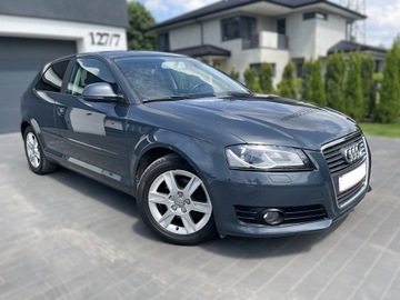 Audi A3 8P 2008 A3 Lift 1.4 Benzyna 2008 r. Serwis Po Opłatach Nowy Rozrząd, zdjęcie 1