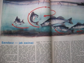 НОВОСТИ РЫБАЛКИ 12 выпусков, ежегодник 1988 г.