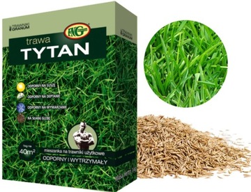 MIESZANKA TRAW TRAWA TYTAN 1kg 40m2 NASIONA