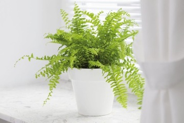 Крышка для цветочного горшка Ibiza Soft Mat 25 Matt White