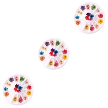 3 PUDEŁKA Z SUSZONYMI KWIATAMI DO MANICURE NAIL ART DOSTAWA
