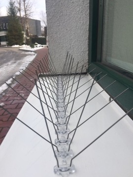 ПЛОТНЫЕ ШИРОКИЕ ИСТИНЫ ДЛЯ ПТИЦ И ГОЛУБЕЙ Ш180, Д. 50 см, ШИР. ЗАЩИЩАТЬ. ДО 24 см