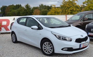 Kia Ceed II pro_cee´d 1.4 DOHC 100KM 2013 Kia Ceed Bezwypadkowe - 1 wlasciciel - Niski przebieg - Super Stan 1.4, zdjęcie 8