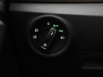 Skoda Kamiq 2020 Škoda Kamiq Skoda Kamiq DSG full LED klima auto, zdjęcie 31