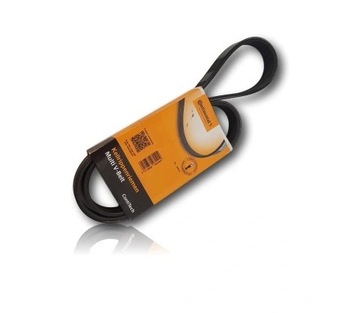 CONTITECH PASEK W/KLINOWY 6PK1880