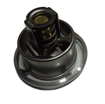 TERMOSTAT DEUTZ FAHR Behr 04911831