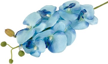 STORCZYK ORCHIDEA GAŁĄZKA STORCZYKA x7 KWIATÓW 78cm S7