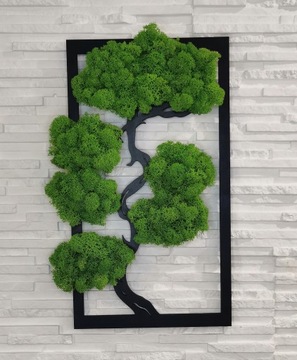 Дерево бонсай со мхом, красивый прямоугольный мох, 40х24.