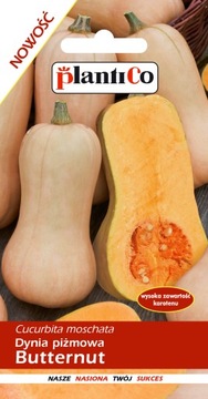 DYNIA PIŻMOWA BUTTERNUT 2 g 'P