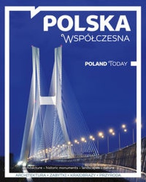 Współczesna Polska Joanna Krawczyk