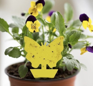 ПАП ДЛЯ ТЕПЛИЧНЫХ ГОРШКОВ ОТ ТЛИ, НАЗЕМНЫХ КРУЖЕК, МУРАВЕЙ, МУРАВЬЕВ 12 ШТ.